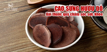 Cao sừng hươu đỏ - nguồn nguyên liệu quý cho bài thuốc quý